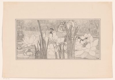 lilie wodne autorstwa Willem C. Scherjon
