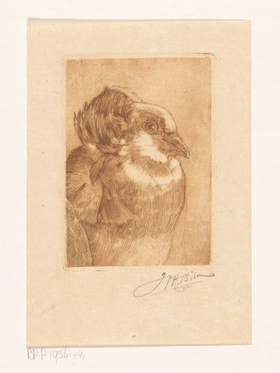 Badanie gołębia autorstwa Willem Hendrik Bik (signed by artist)