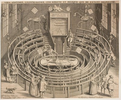 Sala teatru anatomicznego w Leyden autorstwa Willem Isaaksz Swanenburgh