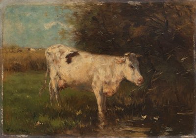 Biała Krowa autorstwa Willem Maris