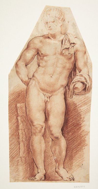 Rzeźba antyczna „Belvedere Antinous”, widziana z przodu autorstwa Willem Panneels