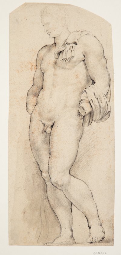 Przód antycznej rzeźby „Belvedere Antinous” widziany do połowy zwrócony w lewo autorstwa Willem Panneels