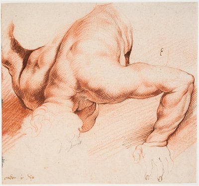Zapaśnicy. Grupa rzeźby antycznej. Dolna figura autorstwa Willem Panneels