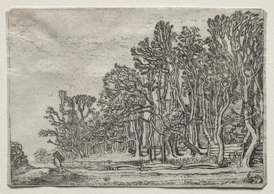 Zestaw krajobrazów: dwa żywopłoty z desek, 1616. autorstwa Willem Pietersz Buytewech