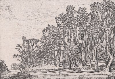 Dwa żywopłoty z desek, z Verscheyden Landtschapjes Różne małe krajobrazy, płyta 6,..., ca. 1616. autorstwa Willem Pietersz. Buytewech