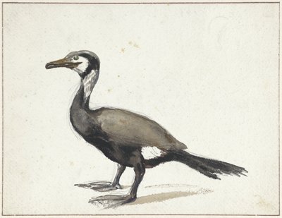 Kormoran autorstwa Willem Roelofs (I)