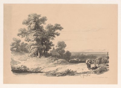 Krajobraz z dwiema kobietami autorstwa Willem Roelofs (I)