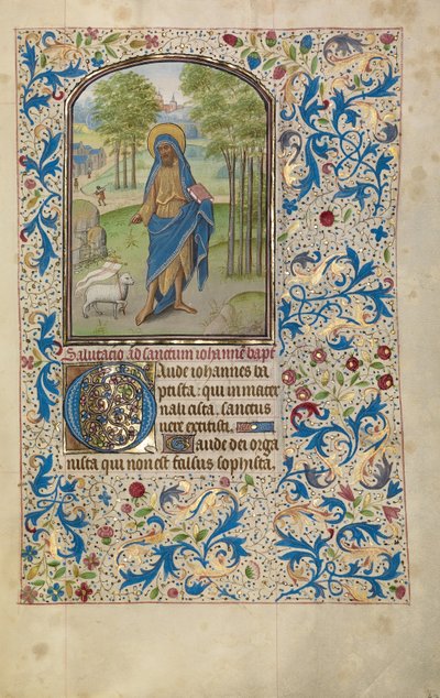 Johannes der Täufer autorstwa Willem Vrelant
