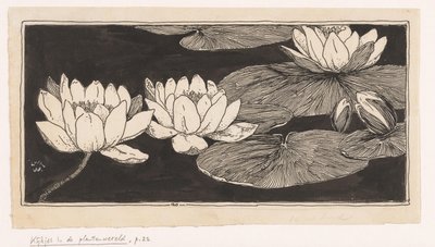 lilie wodne autorstwa Ludwig Willem Reymert Wenckebach