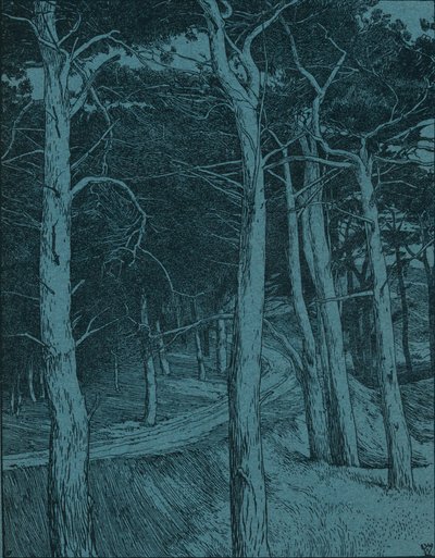 Las, c1912 autorstwa Willem Wenckebach