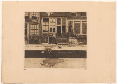 Widok domów nad kanałem w Amsterdamie autorstwa Willem Witsen (signed by artist)