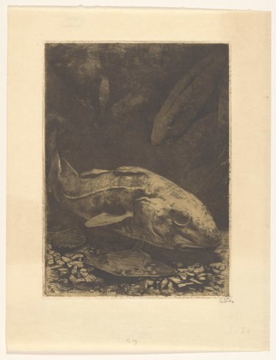 Ryby i rośliny wodne autorstwa Willem Witsen (signed by artist)