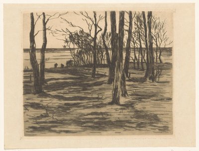 Drzewa na nabrzeżu w Valkeveen autorstwa Willem Arnoldus Witsen
