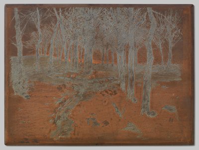 Las w Ewijkshoeve autorstwa Willem Arnoldus Witsen