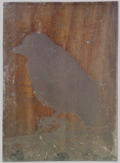 Wrona Ina autorstwa Willem Arnoldus Witsen