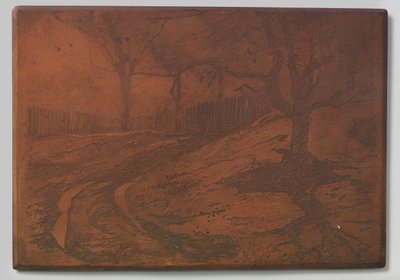 Droga wydmowa autorstwa Willem Arnoldus Witsen