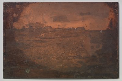 wrzosowiska autorstwa Willem Arnoldus Witsen
