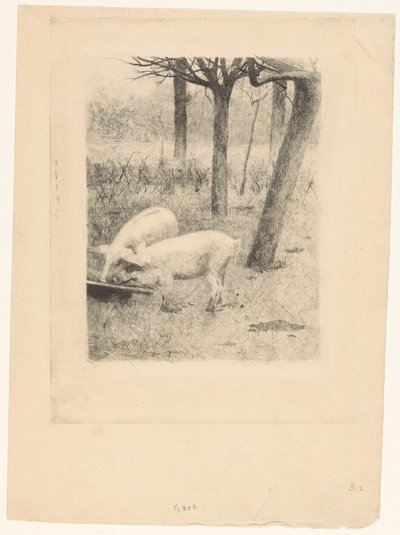 Dwie świnie przy korycie autorstwa Willem Arnoldus Witsen