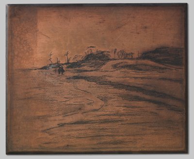 Valkeveen na Zuiderzee autorstwa Willem Arnoldus Witsen