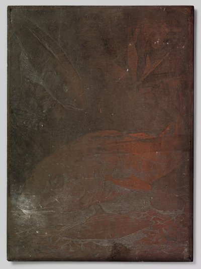 Ryba w akwarium autorstwa Willem Arnoldus Witsen