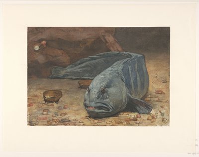 Wilczyca na dnie akwarium autorstwa Willem Arnoldus Witsen