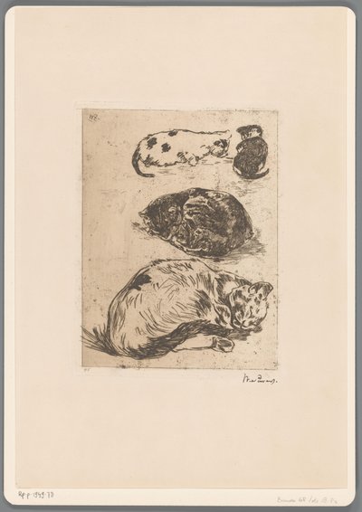 Studium kotów (tytuł oryginalny) autorstwa Willem de Zwart (signed by artist)