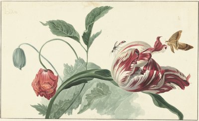 Tulipan i mak autorstwa Willem van Leen (attributed to)