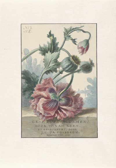 maki Druk tytułowy dla: W. van Leena i J.C. & TAK. Coebergh, Trawione kwiaty, 1804 autorstwa Willem van Leen