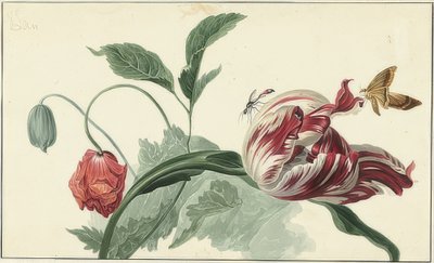 Tulipan i mak autorstwa Willem van Leen