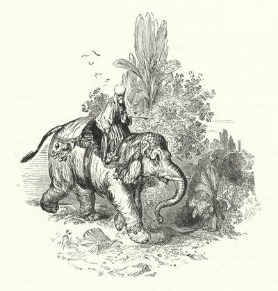 „Abd-El-Kuddoos na słoniu (rycina) autorstwa William (after) Harvey