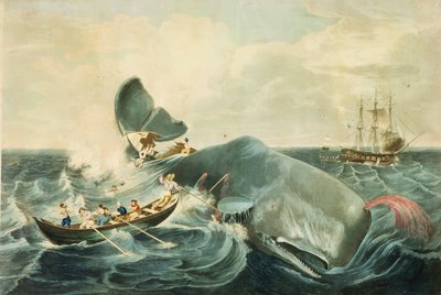 Schwytanie kaszalota, rytowane przez J. Hilla, opublikowane w 1835 r. (kolorowa akwatinta) autorstwa William (after) Page