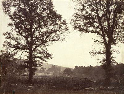 Krajobraz z wiązami, Ashdown, Wielka Brytania autorstwa William 2nd Earl of Craven