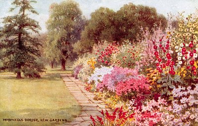 Granica zielna, ogrody Kew autorstwa William Affleck Carruthers