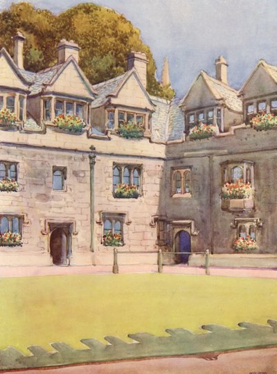 Przedni czworobok Brasenose College, pokazujący w tle słynny kasztanowiec znany jako Drzewo Hebera (kolorowa litografia) autorstwa William Ainsworth Wildman