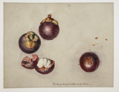 WD 961 f.27 autorstwa William Alexander