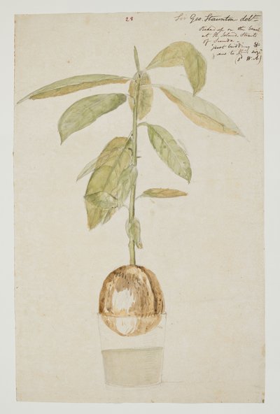 WD 961 f.28 autorstwa William Alexander