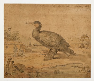 WD 961 f.6 autorstwa William Alexander