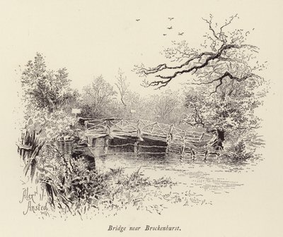Most w pobliżu Brockenhurst (grawerunek) autorstwa William Alexander Ansted