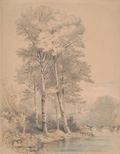 Zamek Llandovery, Południowa Walia autorstwa William Alfred Delamotte