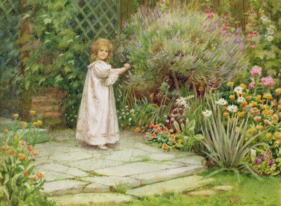 Mój ogród autorstwa William Ashburner