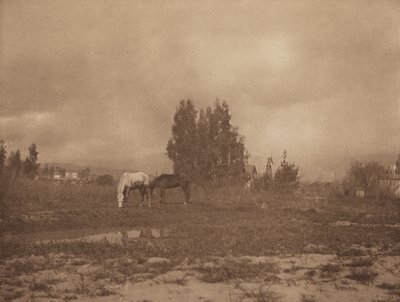 Krajobraz Pasadeny, 1899. autorstwa William B Post