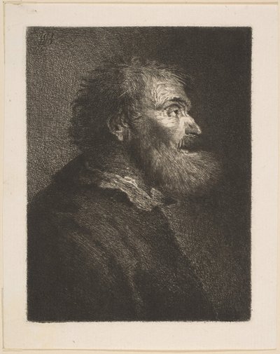 Stary człowiek z profilu, 1761. autorstwa William Baillie