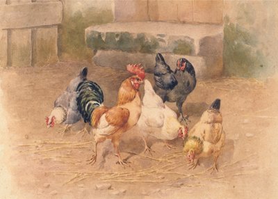 Kurczaki (akwarela z bodycolorem na papierze) autorstwa William Baptiste Baird