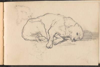 Szkic śpiącego psa, 1879 ok autorstwa William Barnes Wollen
