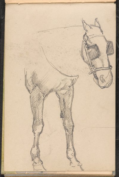 Szkic konia z klapkami na oczach, 1879 ok autorstwa William Barnes Wollen