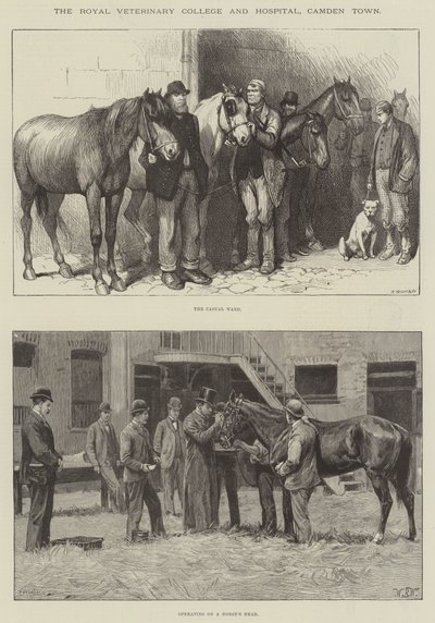 The Royal Veterinary College and Hospital, Camden Town autorstwa William Barnes Wollen