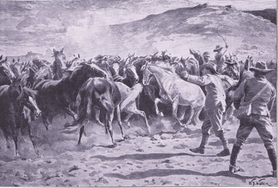 Zdobycie koni w dzielnicy Brandwater pod Fouriesburgiem: łapanie stada, ilustracja z filmu After Pretoria: The Guerilla War, 1902 autorstwa William Barnes Wollen