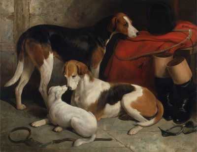 Para Foxhoundów Lorda Henry