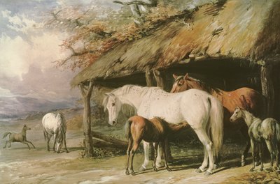 Klacze i źrebięta, XIX w. autorstwa William Barraud