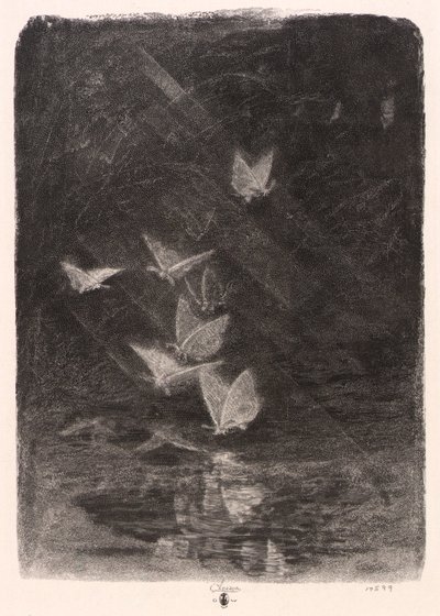Nocne ćmy autorstwa William Baxter Closson